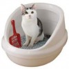 えっ?知らなかった＞猫のウンチは水に溶けない＞トイレに流してはダメ！